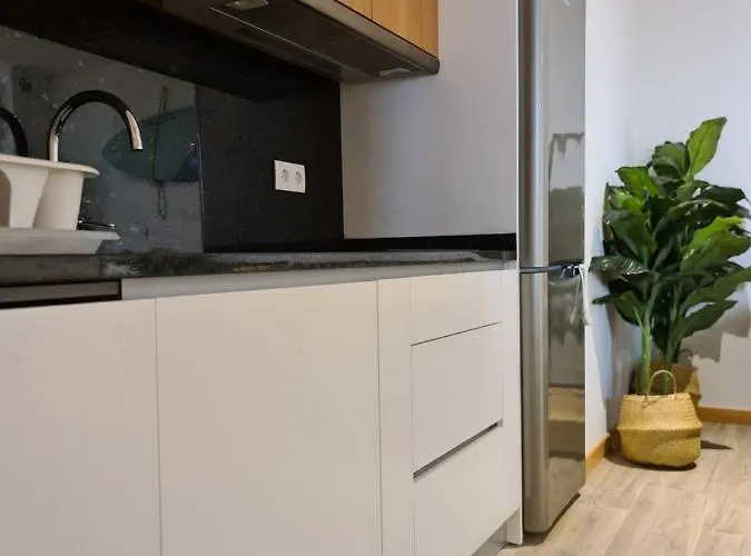 Appartement Gold T2-praia Do Furadouro Ovar